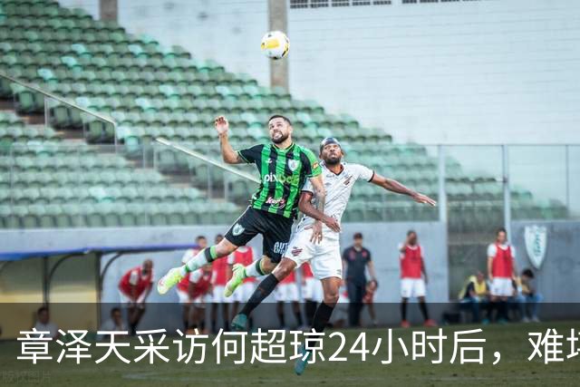 章泽天采访何超琼24小时后，难堪一幕发生，原来刘强东真没说假话